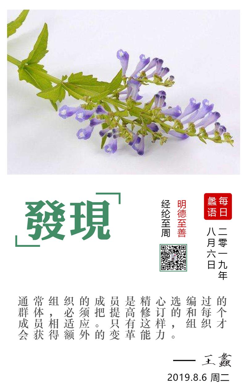 20190806.jpg